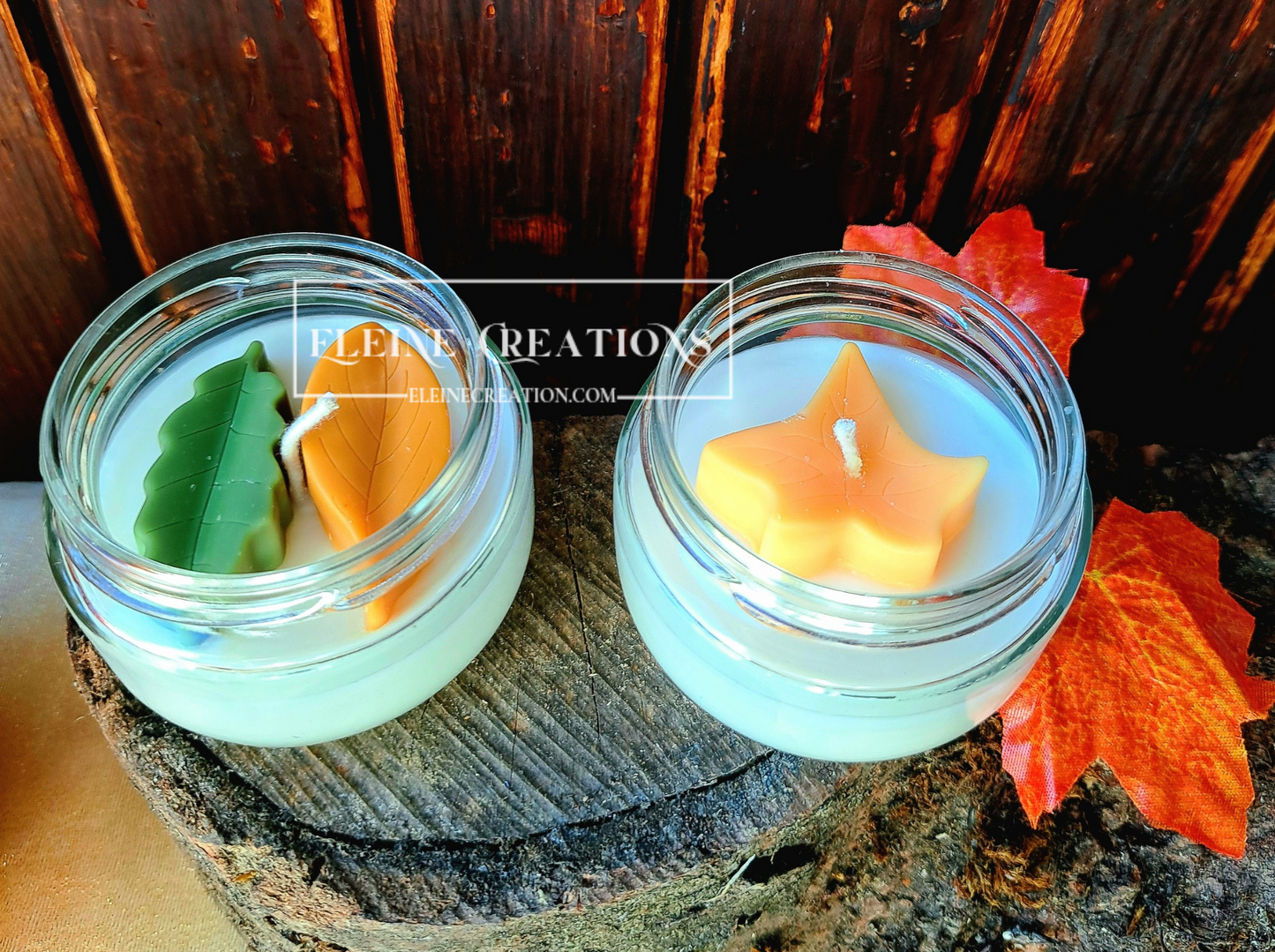 🌲 Frammenti di Bosco 🍂🤍