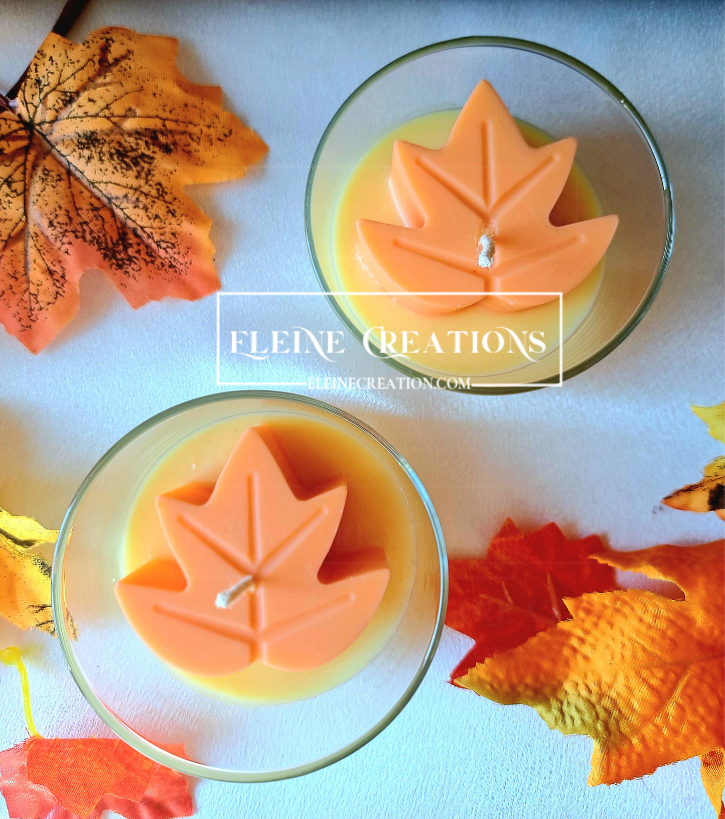 🍁Candela “Pino Nero” – Edizione Autunnale 🍂🌅