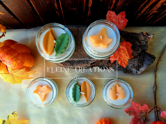 🌲 Frammenti di Bosco 🍂🤍